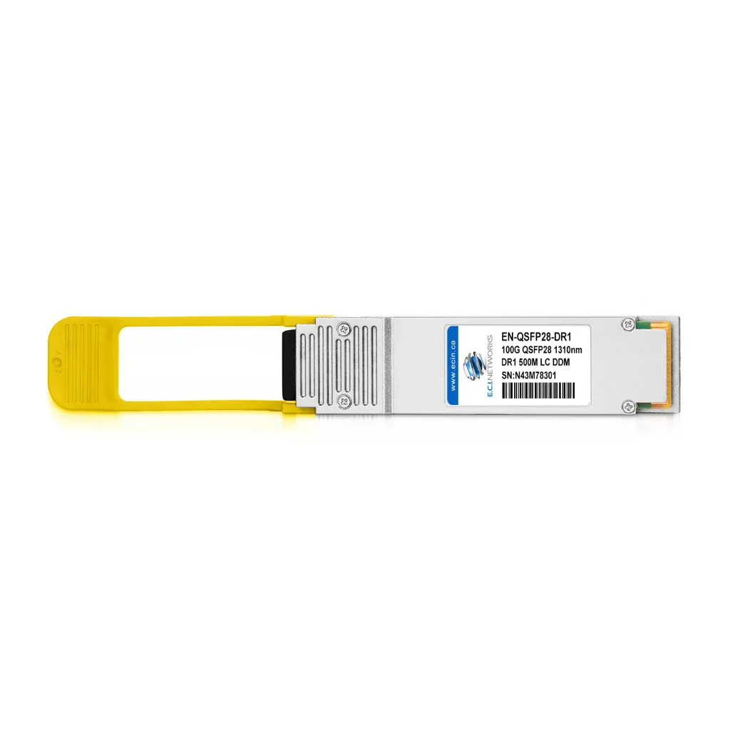 100G-DR1-2.webp