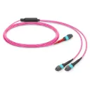 1x MTP 8F Female to 2x MTP 4 fibers Female, OM4,Polarity B, Breakout length,0.5m. 3m.